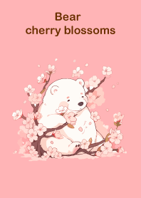 bear cherry blossoms
