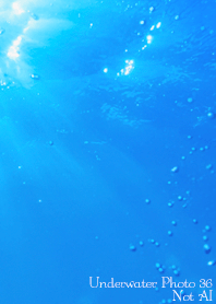 Underwater Photo 36 Not AI