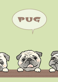 Pug pistachio green.