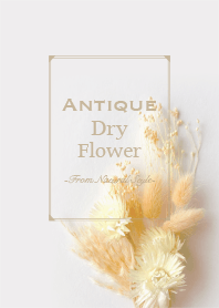 Antique dried flowers 13  / NaturalStyle