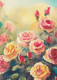 Beautiful rose flower(R4401)