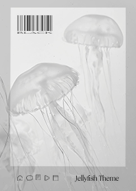 Jellyfish Theme  - 006 BK STIC