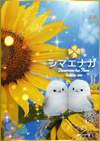 Long-tailed Tit and Sunflower Clover*