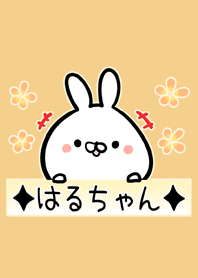 [はるちゃん]用可愛いウサギの名前着せかえ