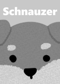 Schnauzer dress up Gray version