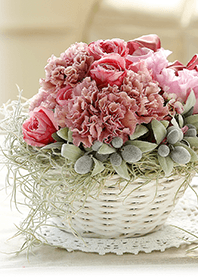 theme【flower】11