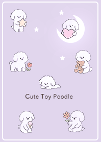 pinkpurple Toy Poodle Healing 02_2