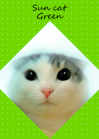 Sun cat green