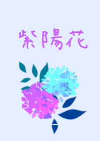 日本の花　紫陽花