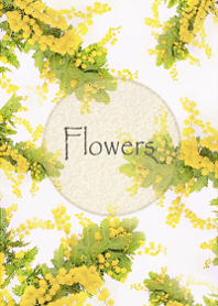Mimoza flowers wrapped in kindness5.
