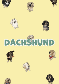 dachshund6 - lemonade