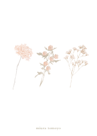 simple Hidamari no hanataba revised ver