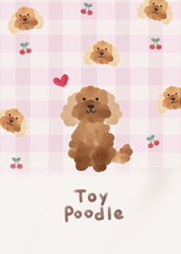 I love fluffy toy poodle10.