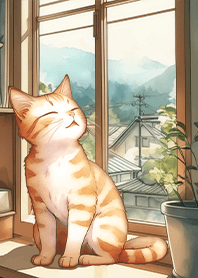 Healing-AM11 cat before lunch 1