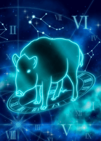 生肖猪-双子座-