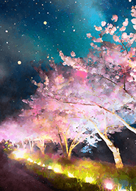 Beautiful night cherry blossoms#1629