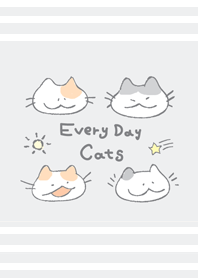 Everyday cats!
