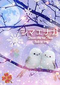 シマエナガとクローバー✨運気上昇⤴︎