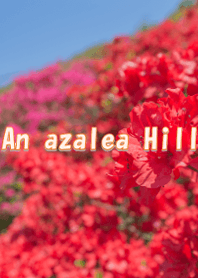 an azalea Hill ver.2