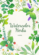 Watercolor Herbs