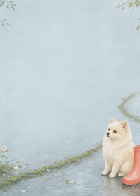 奶油色小犬與珊瑚雨靴