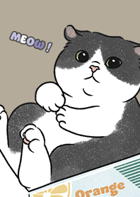 neko single20 / khaki