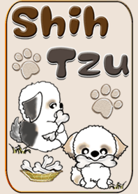 シーズー犬
