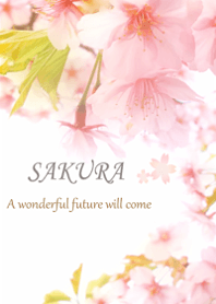 cherry blossoms that bring happiness.1.