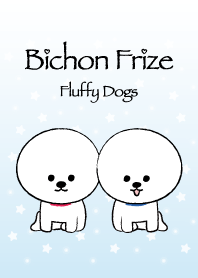 Fluffy Bichon Frize