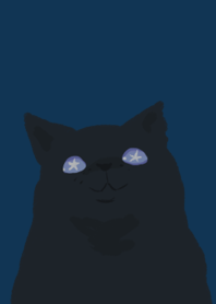 stargazer cat