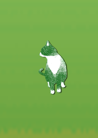 Simple adult cat 1009