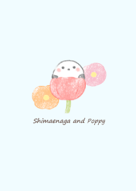 Shimaenaga and poppy -blue-