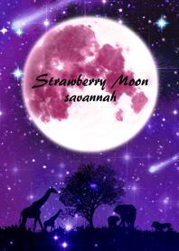 Strawberry Moon Savannah