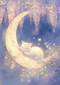 ⭐藤猫の夢❤️
