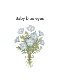Baby blue eyes(Nemophila)