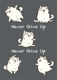 Dancing Cat-Never Give Up