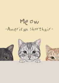 Meow ! -American Shorthair- CREAM YELLOW