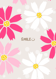 Cosmos cute6 from Japan