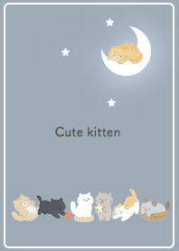 Kitten Time on an Autumn Night 01_2