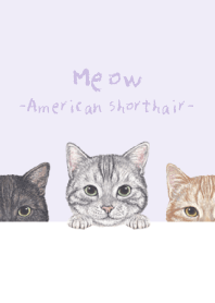 Meow - American Shorthair - PURPLE