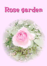 Rose garden -pink-