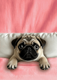 楽しいキルト-パグ犬1G