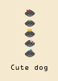 繽紛黑色貴賓狗