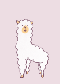 Cute alpaca