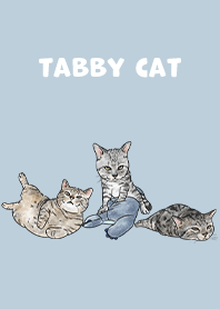 tabbycat5 / blue