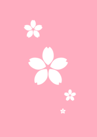 Sakura×桜×サクラ