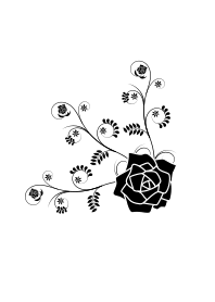 クラシック・ブラックローズ