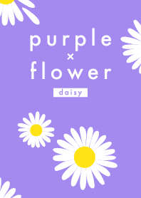 Purple x Flower (ดอกเดซี่)