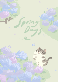 Spring days 2：繡球花