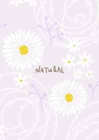 White flower darkish9 from Japan